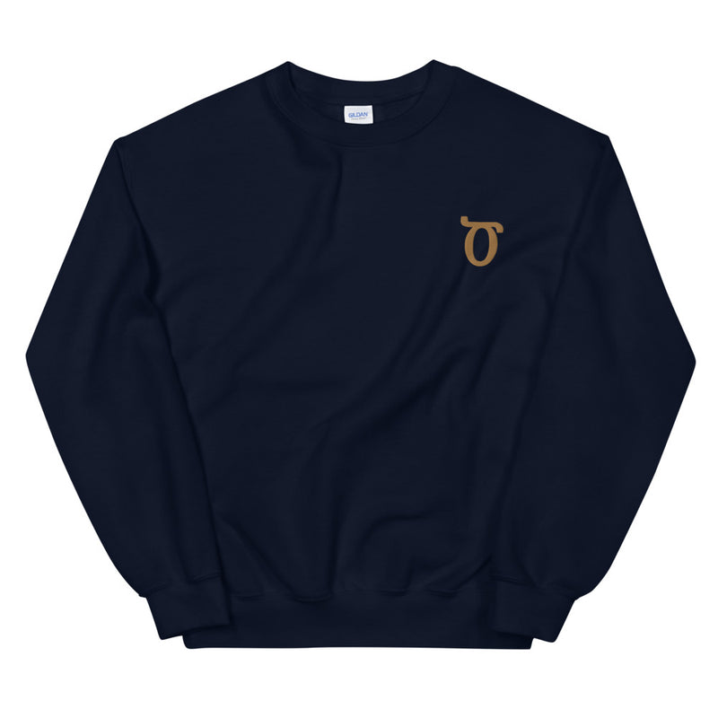 TS - Embroidered Sweatshirt